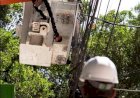 Neoenergia: Fornecimento de energia será temporariamente suspenso em algumas partes do DF