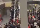 Tensão em Aeroporto Russo Após Pouso de Aeronave Israelense