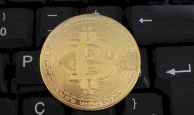 Como Investir Em Criptomoedas ! A Bolsa de Valores Lança Curso Gratuito.