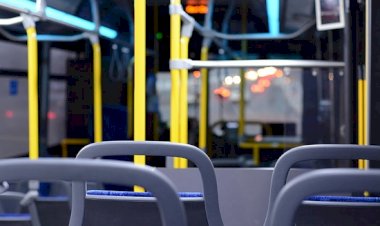Passageira que encontrou baratas em poltrona deve ser indenizada por empresa de ônibus